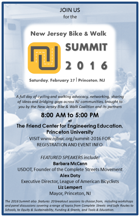 2016 summit mini flyer
